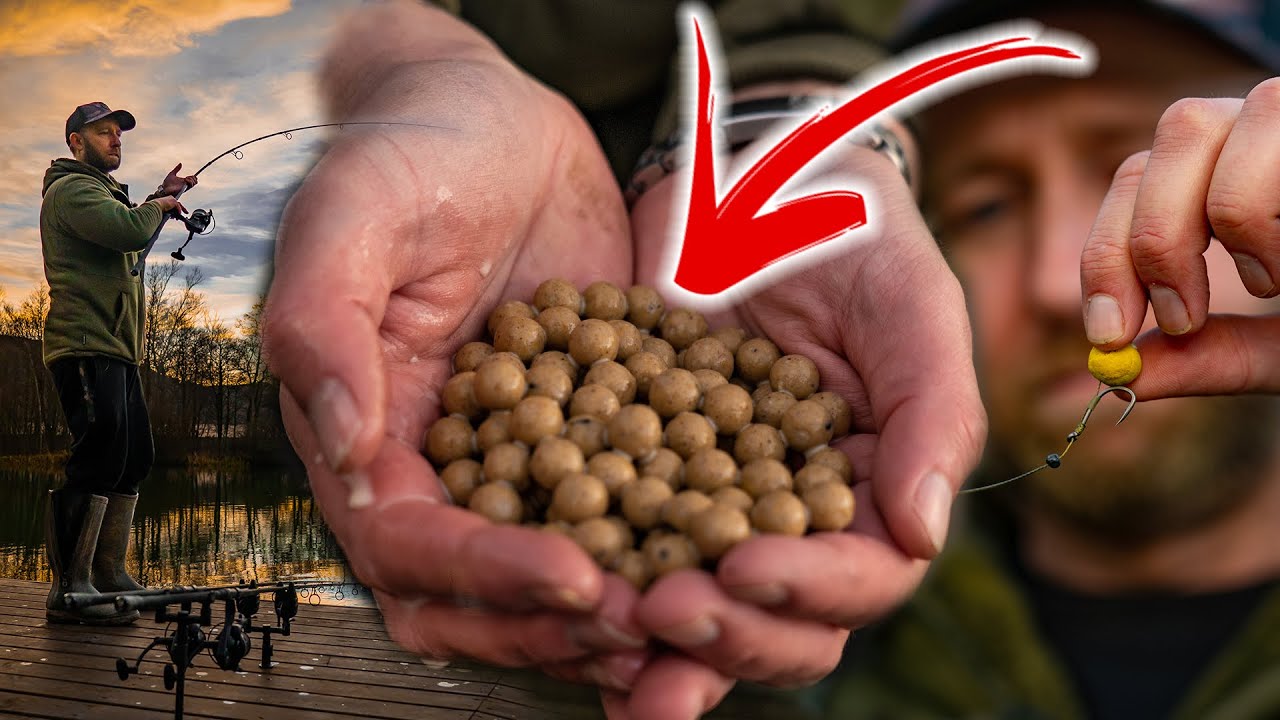 CATCH MORE CARP in WINTER 🥶 | Mark Pitchers | WIN  a Rod Support System