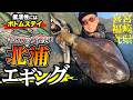 【エギング】低活性にはボトムステイ！ボトム姿勢で抱かせる北浦エギング【ハグハグ】