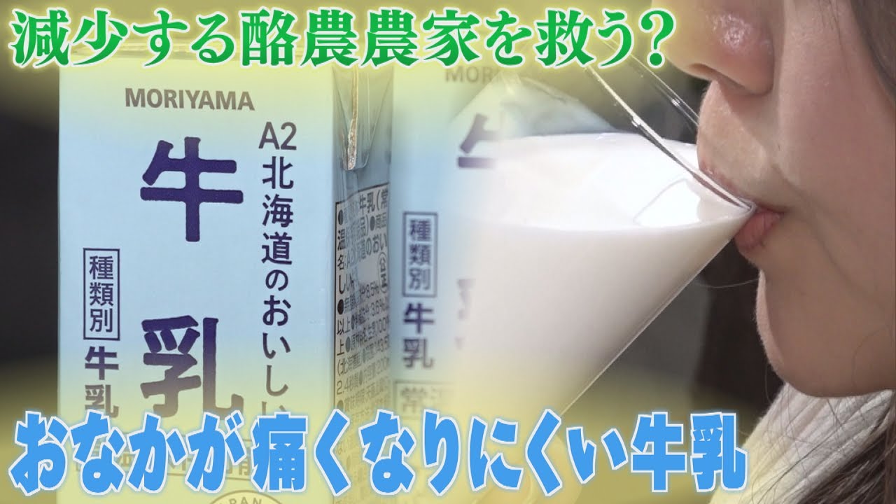 A2 milk, which is gentle on the stomach; domestic certification