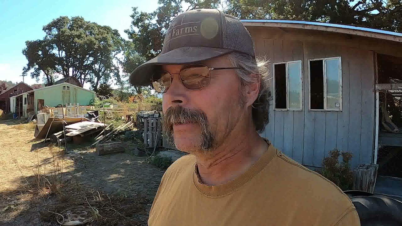 yellowjacket control