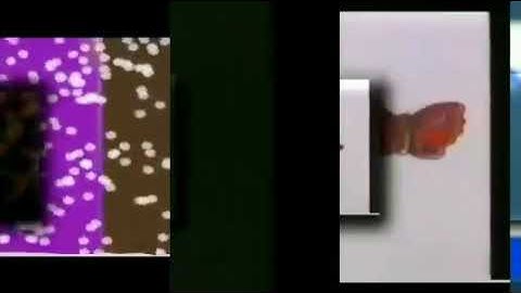 43 Shuric Scan With Are Slides V2