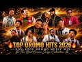 Ethiopian Music Oromo Nonstop Mix 2024 Best Oromo Hits Collection 