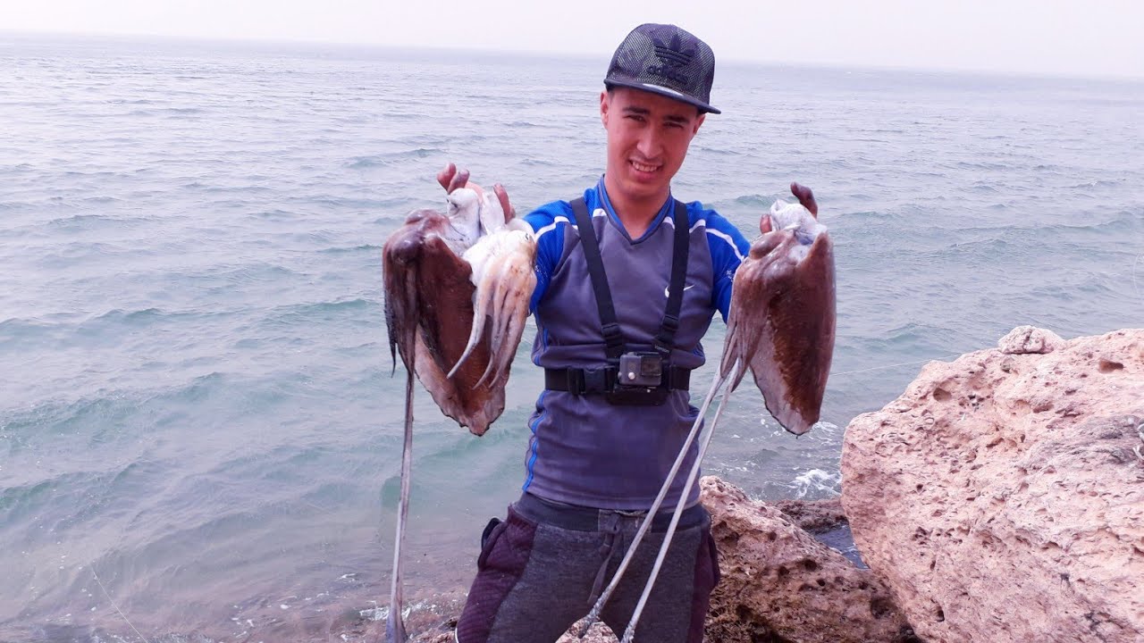 فيديو رائع لصيد سيبيا بتقنية سبينينغ من الشاطئ spinning_sepiida#