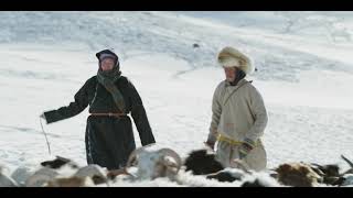 'Cashmere   The Origin of a Secret'