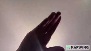 Jefftoon Network Ident Alvin And The Hand Puppets 2026