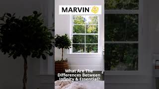 Infinity vs Essential Windows — What’s the Difference?