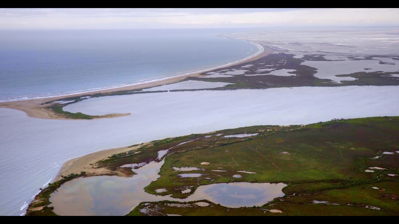 Camargue, France (English version) YouTube