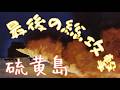 硫黄島の戦い 最後の総攻撃!