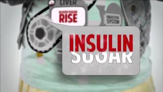 Fed Up Film Insulin The Energy Storage Hormone