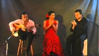 Download Lagu Spanish: Anna \u0026 José - Flamenco Dancers MP3