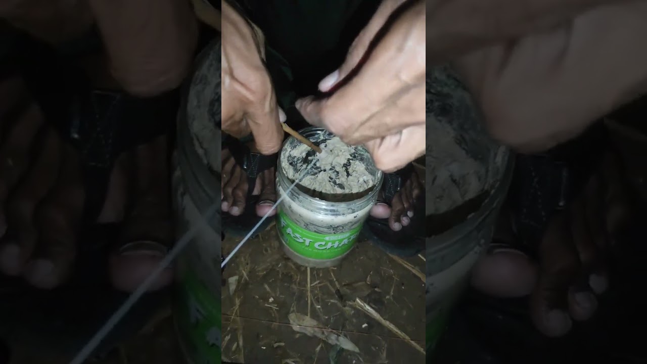 cara menggunakan umpan kucur#fishing #benihfishing #mancing #umpankucur #papabarra