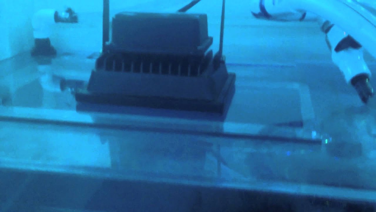 Couple add ons to the stand and more coral!!!