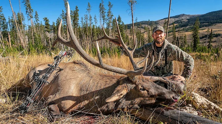 WYOMING BULL with a BOW!!! - (CRAZY Public Land Elk Hunt)