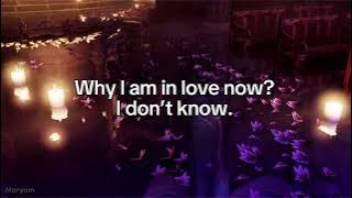 Erika - I don’t know English Lyrics