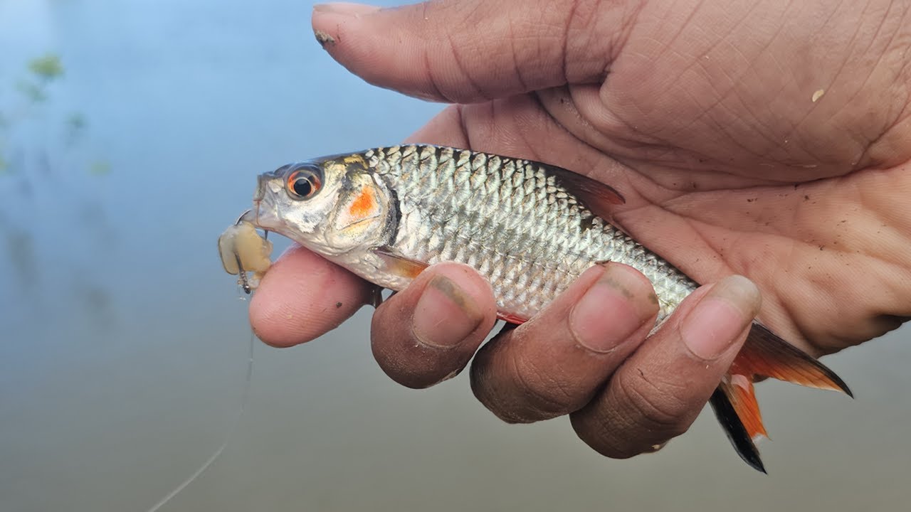 Lake Fishing with Breathtaking Views | most beautiful lake view