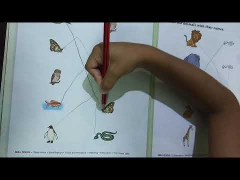 Learn to draw a Line to Match the Animal | Kids learn Animals Names Animals Matching Games