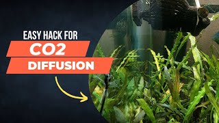 EASY HACK for CO2 DIFFUSION - Ensures no CO2 is wasted and effective distribution.
