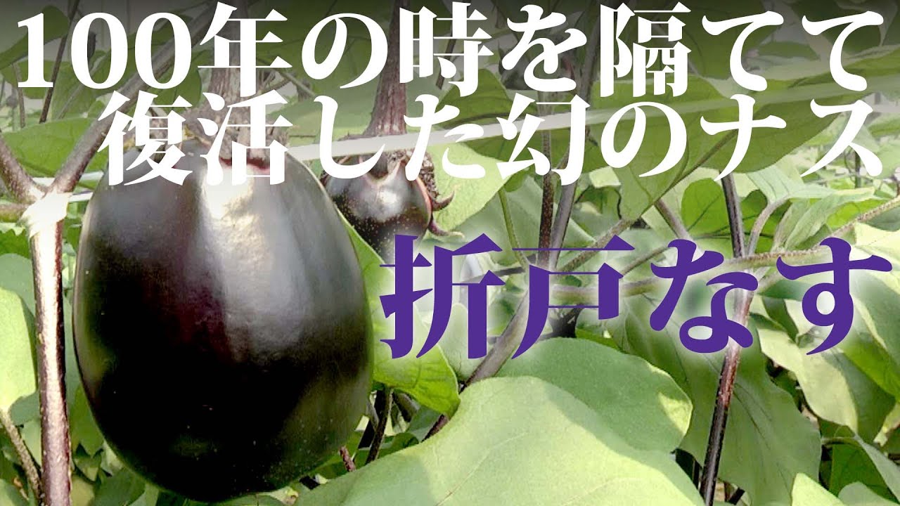 折戸なす しみずの農産物 Jaしみず