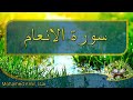 سورة الانعام (من بداية السورة إلى الآية 30 ) / المقرئ فجر الله الشاذلي #القرآن_الكريم #سورة_الأنعام