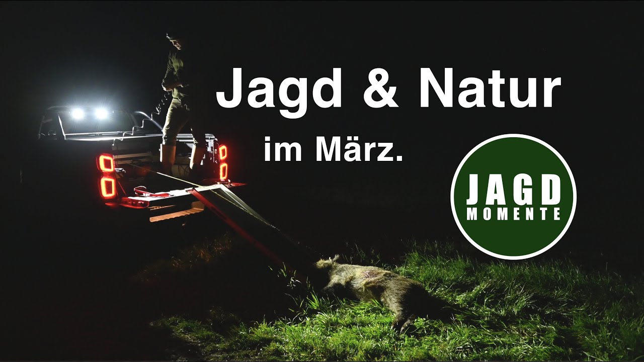 Jagd & Natur im März | JagdMomente 2023