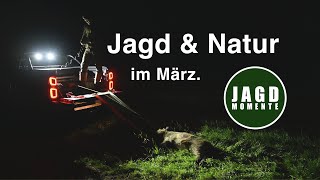 Jagd &amp; Natur im März | JagdMomente 2023