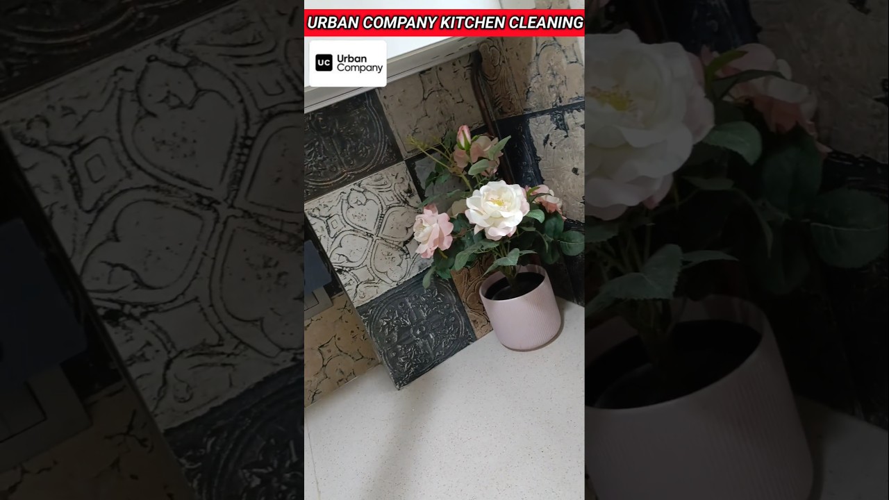 🥰🥰🥰🥰urban company kitchen cleaning video urban company home clinic deep cleaning vlog channel