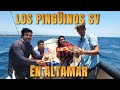 Así disfrutaron los PINGÜINOS SV sus pescaditos en ALTAMAR