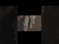 دقـــلــــي بـــس دقــــلــي دقـــلــــي بـــس دقــــلــي