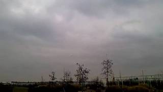 CALMATO 40 munis d un moteur jba 56( 9,48 cm3) hlice graupner 11-7