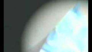 MOV0001A.avi
