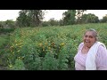 Las flores d eloy alfaro d palacios ac en las juntas d chacamero guerrero