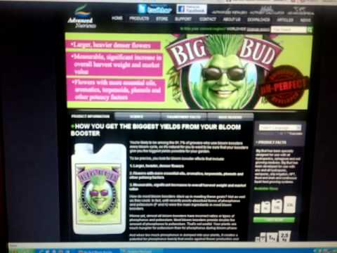 Advanced Nutrients Big Bud Or House And Garden Shooting