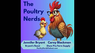How to Start a Poultry Breeding Program: What Every New Breeder Needs to Know