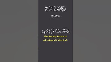 سورة الفتح بصوت القارئ عبد الرحمان مسعد