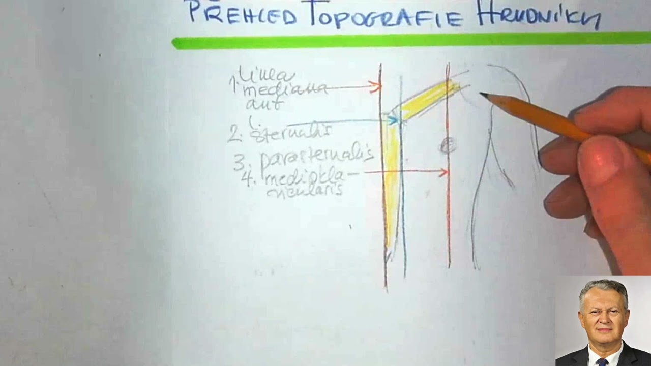 Doc. RNDr. Pavel Fiala, CSc. - Přehled topografie hrudníku, in memoriam