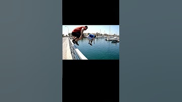 Marina Dive Gone Wrong #foryou #shorts #shortsvideo #dive #jumpscare #jumpscarereaction