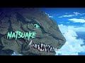 Gamera rebirthheiseibrave  natsuake