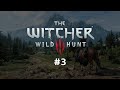 skywhywalker играет The Witcher 3: Wild Hunt. Часть 3