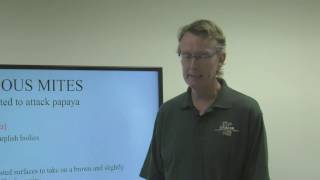 Pest and Diseases of Papaya in Hawaiʻi