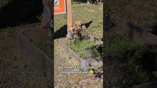 #ideen #zumNachmachen #DIY #baumarkt #gartenideen #selbermachen