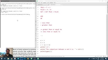 Creating Visual Stimuli in Python 1.41: True and False in Python