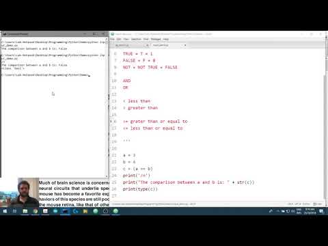 Creating Visual Stimuli in Python 1.41: True and False in Python
