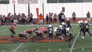 Doublewing offense versus GunWing Offense. Which formation is better? #doublewing #youthfootball