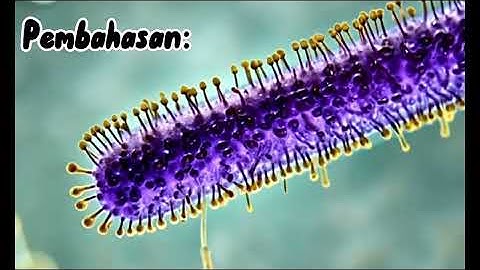 Microbe-Nutrient Interactoins: The Role Of Spil Macro And Micronutrient Cycling