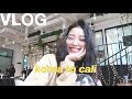 Weekly Vlog | Hanging out with my viewers in Korea, spontaneous trip to Cali