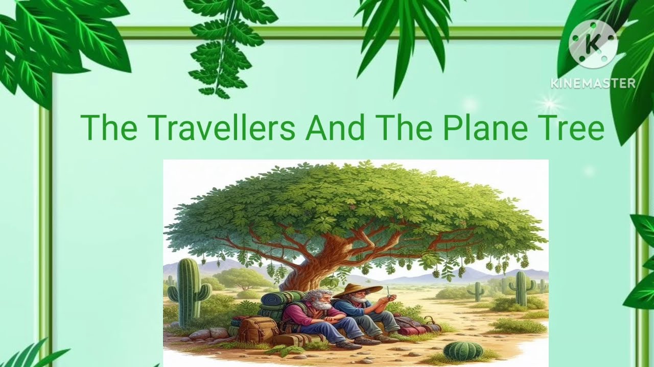 The Travellers And The Plane Tree 🌳  || English Moral Story  ||