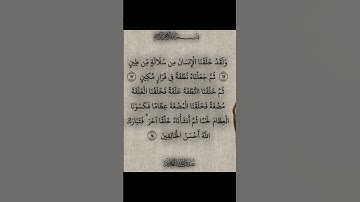 قرآن كريم بصوت جميل يريح القلب ماشاءالله #قران_كريم #اكسبلور #المصحف #الرحمن #اكسبلور