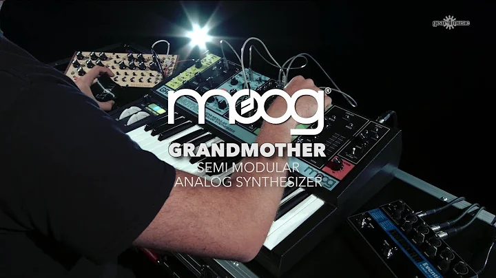 Moog Grandmother Semi-Modular Analog Synthesizer performance one | Gear4music demo