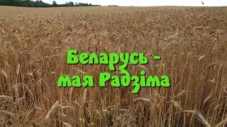 Беларусь - Мая Радзіма (Бел)