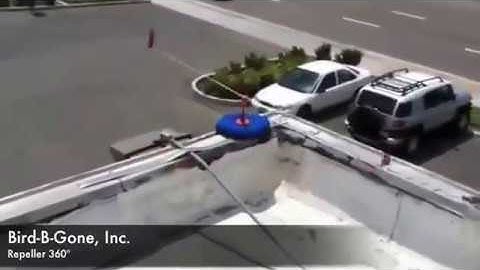 How to look Bird-B-Gone  Repeller 360